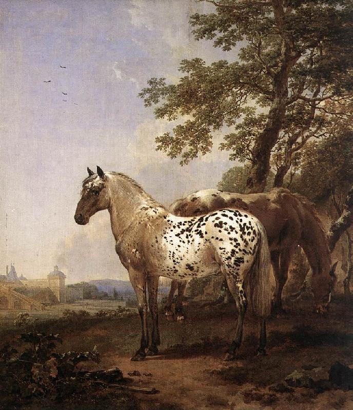 BERCHEM, Nicolaes Landscape with Two Horses oil painting picture